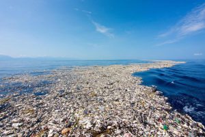 Sự thật thú vị về bãi rác nổi khổng lồ ở Thái Bình Dương